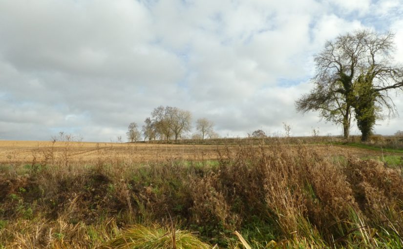 Wandering up to Welford