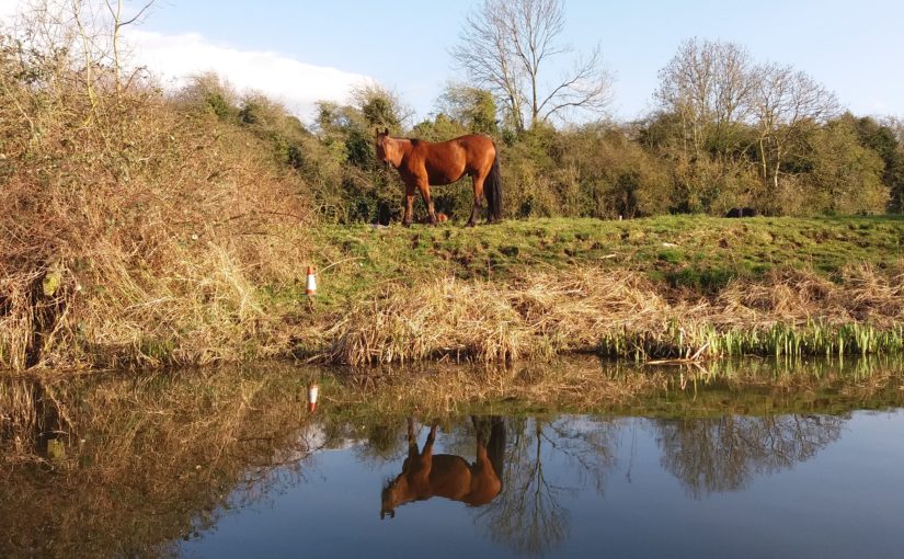 From Canal to River