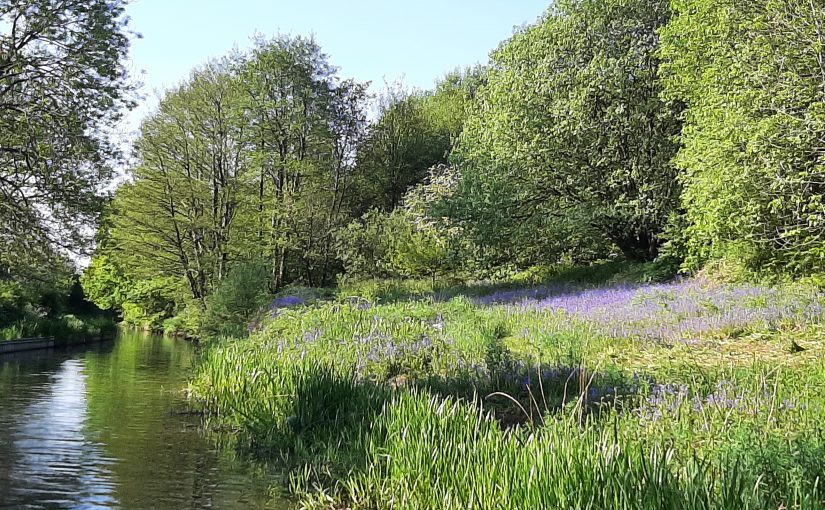 Cruising the Caldon